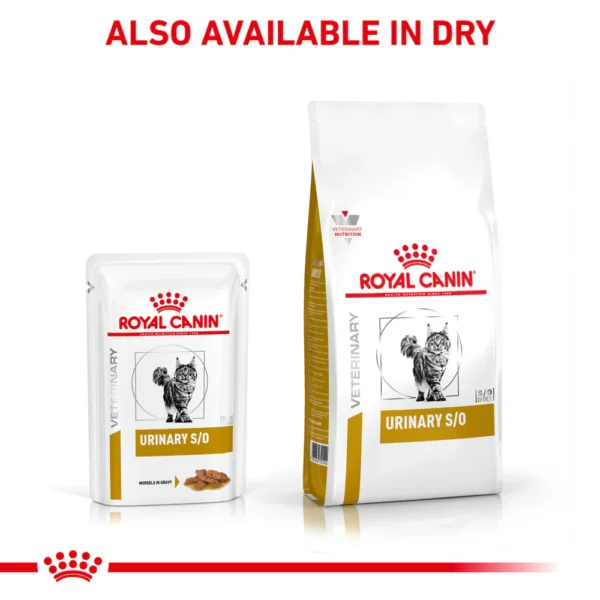 ROYAL CANIN® Feline Urinary S/O Adult Dry Cat Food 85 gr - Gambar 6