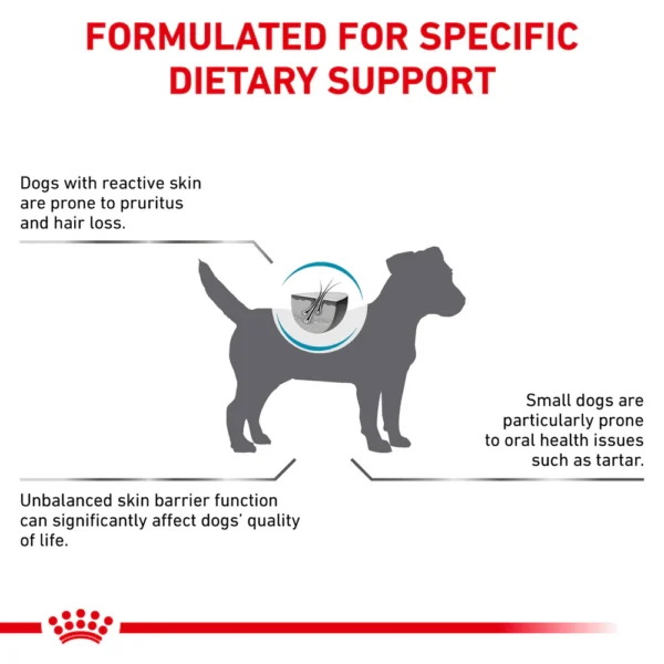 ROYAL CANIN® Skin Care Small Dog Adult Dry Food 2 kg - Gambar 4