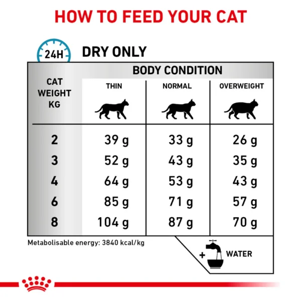 ROYAL CANIN® Skin & Coat Adult Dry Cat Food 400 gr - Gambar 6