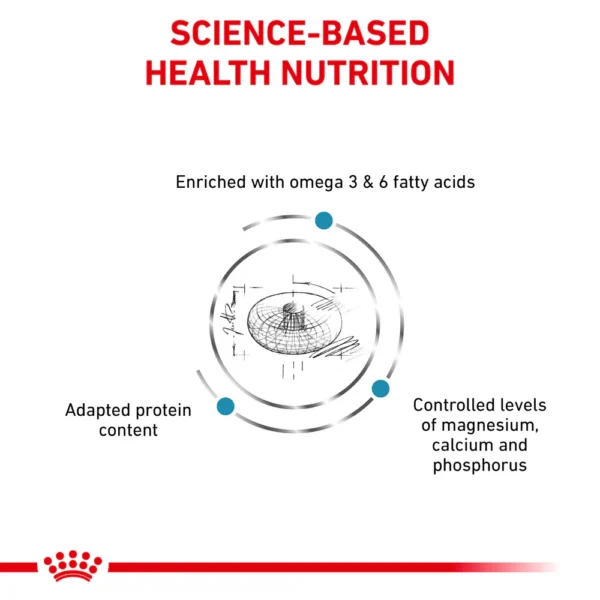 ROYAL CANIN® Skin & Coat Adult Dry Cat Food 400 gr - Gambar 3